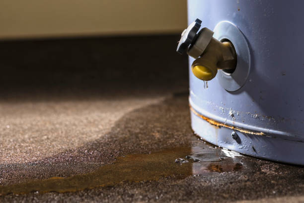 Best Flooded house restoration  in Hiller, PA