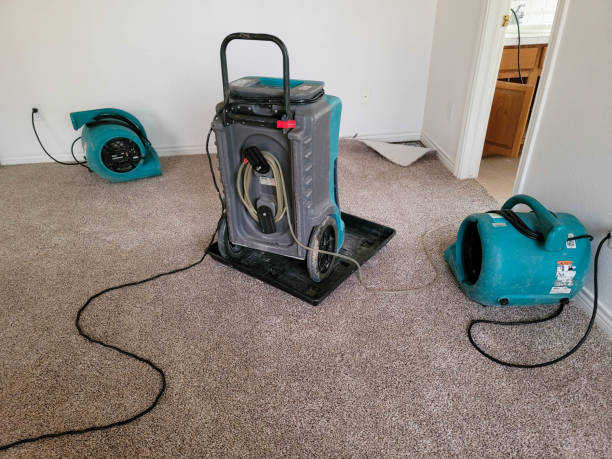  Hiller, PA Water damage restoration Pros