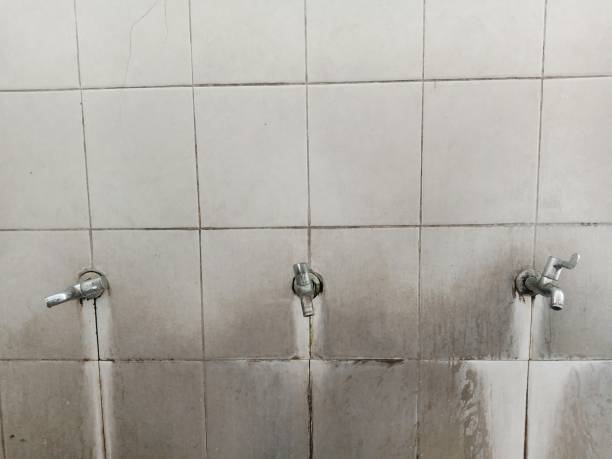 Best Water damage contractors near me  in Hiller, PA