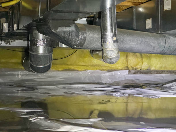 Best Mold removal after water damage  in Hiller, PA