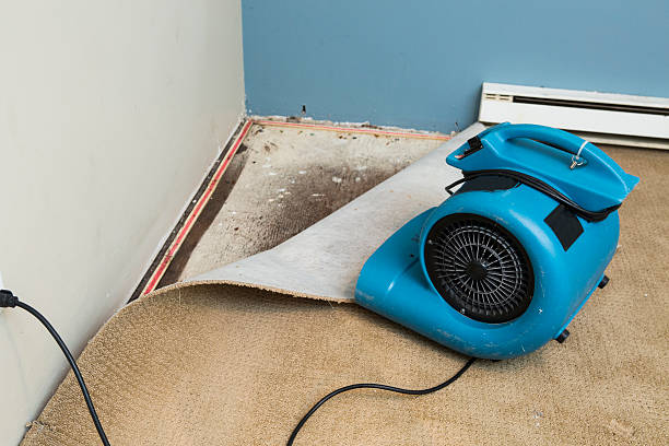 Best Ceiling water damage repair  in Hiller, PA